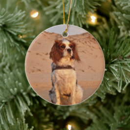 Blenheim Cavalier King Charles Spaniel Dog Keramik Ornament