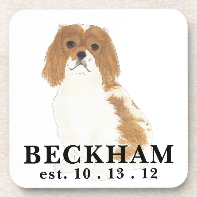 Blenheim Cavalier King Charles Spaniel Getränkeuntersetzer (Vorderseite)