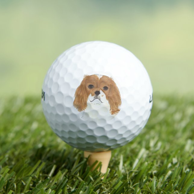 Blenheim Cavalier King Charles Spaniel Golfball (Insitu T-Shirt)