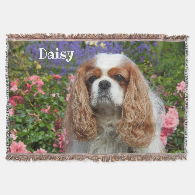 Blenheim Cavalier King Charles Spaniel in Blume Decke (Vorderseite)