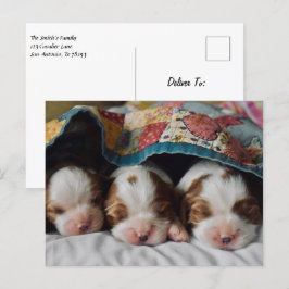 Blenheim Cavalier King Charles Spaniel Puppies Postkarte