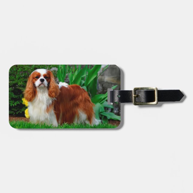 Blenheim Cavalier King Charles Spaniel Puppy Dog Gepäckanhänger (Vorderseite horizontal)