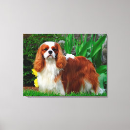 Blenheim Cavalier King Charles Spaniel Puppy Dog Leinwanddruck
