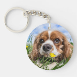 Blenheim Cavalier King Charles Spaniel Puppy Dog Schlüsselanhänger