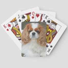 Blenheim Cavalier King Charles Spaniel Puppy Dog Spielkarten