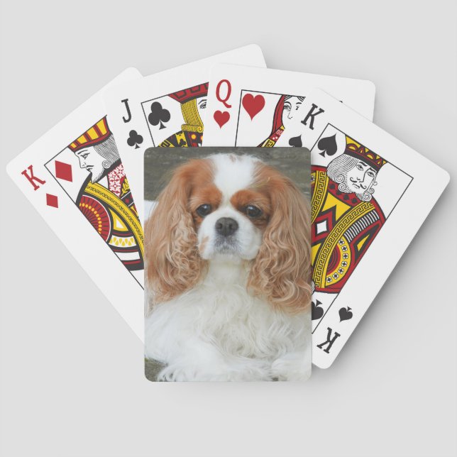 Blenheim Cavalier King Charles Spaniel Puppy Dog Spielkarten (Rückseite)