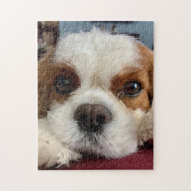 Blenheim Cavalier King Charles Spaniel Puzzle (Vertikal)