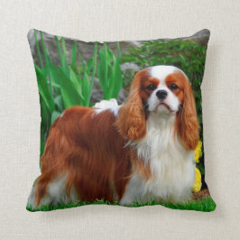 Blenheim Cavalier King Charles Spaniel Welpe Hund Kissen