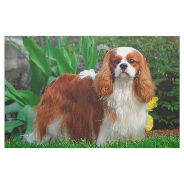Blenheim Cavalier King Charles Spanier Dog Panel Stoff (Yard (91,4 cm))