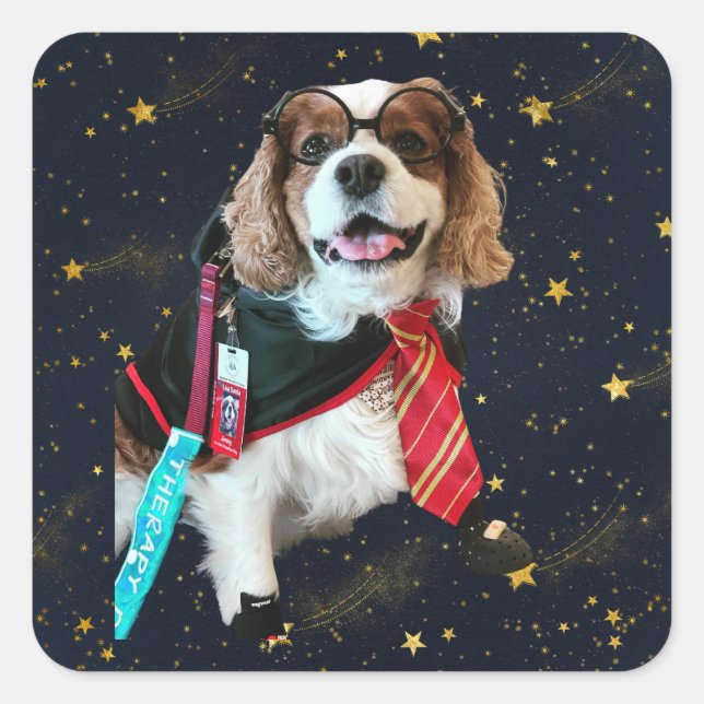 Blenheim Cavalier King Charles Wizard Square Stick Quadratischer Aufkleber (Vorderseite)