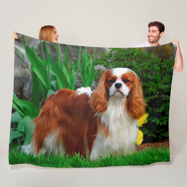 Blenheim Cavalier König Charles Spaniel Hund Fleecedecke (Beispiel)