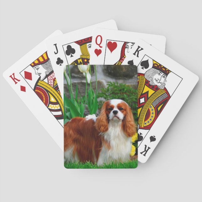 Blenheim Cavalier König Charles Spaniel Hund Spielkarten (Rückseite)