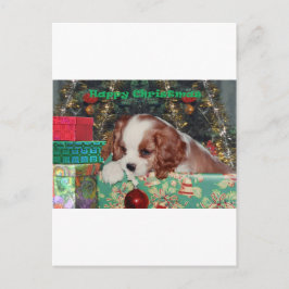 Blenheim Christmas Puppy Feiertagspostkarte