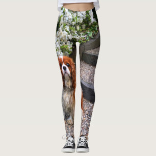 Blenheim unbekümmerte Blumenblätter König-Charl Leggings