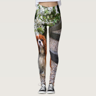 Blenheim unbekümmerte Blumenblätter König-Charles Leggings