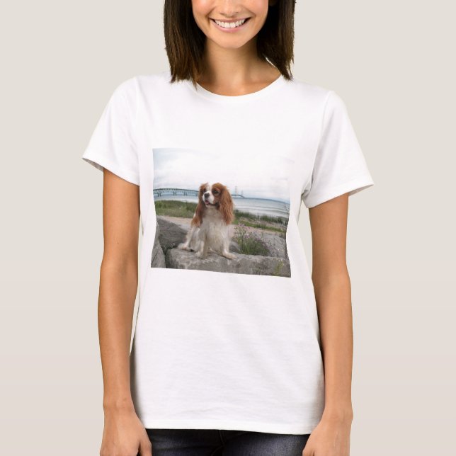 Blenheim unbekümmerte Mackinaw Brücke Michigan T-Shirt (Vorderseite)