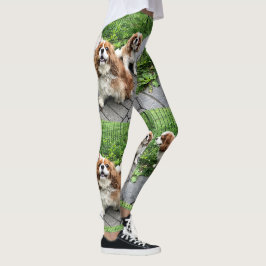 Blenheim unbekümmerter König Charles Friends Leggings