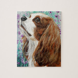 Blenheim unbekümmerter Königcharles Spaniel