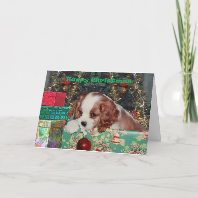 Blenheim Weihnachtswelpe Feiertagskarte (Vorderseite)