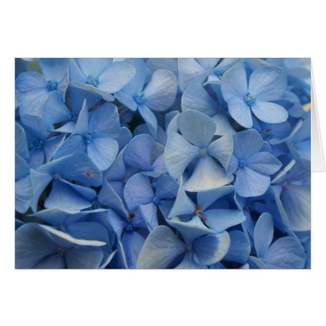 Bleu (Devant horizontal)