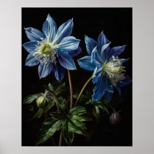 Bleu Columbine Fleurs Art Imprimer Poster