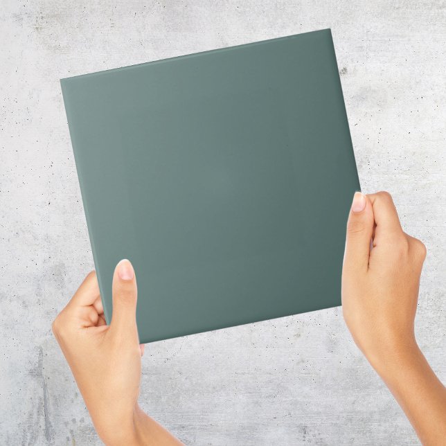 Bleu de canard gris gris carreaux couleur solide (Duck Egg Blue Grey Solid Colour Tile
)