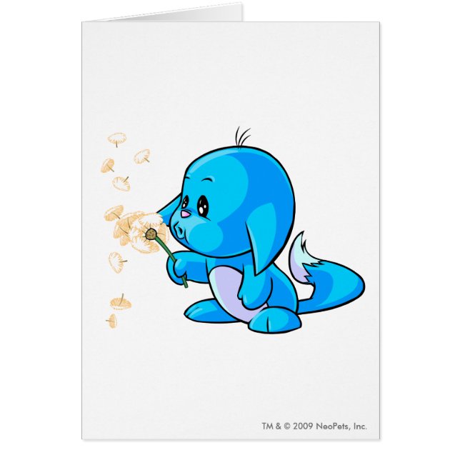 Bleu de Kacheek (Devant)