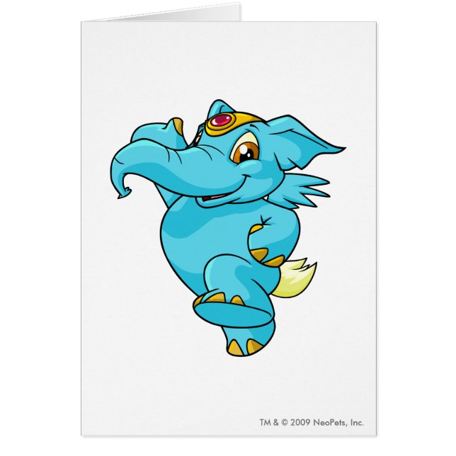 Bleu d'Elephante (Devant)