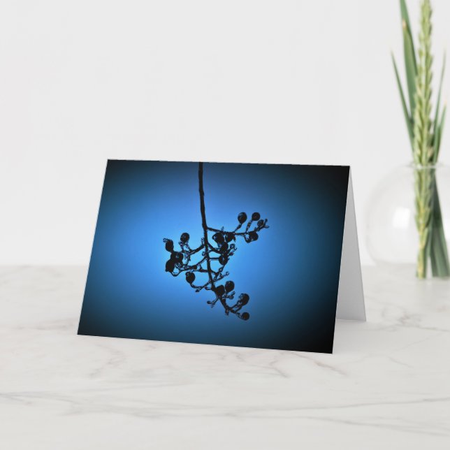 Bleu d'hiver, carte (Devant)