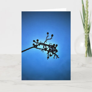 Bleu d'hiver, carte