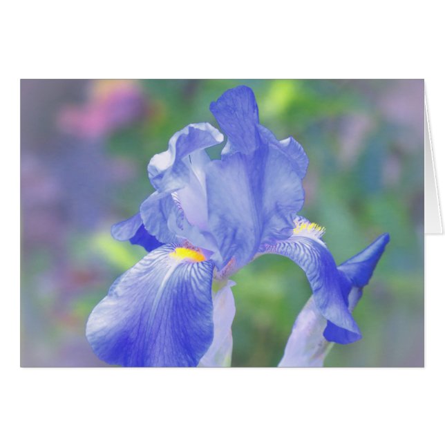 Bleu en pastel - iris (Devant horizontal)