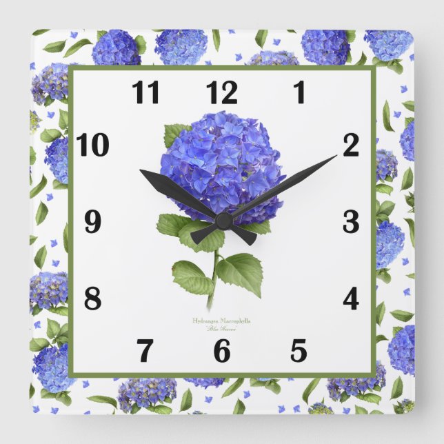 Bleu Hydrangea Botanique Art Carré Horloge murale (Recto)