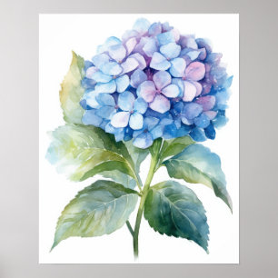 Bleu Hydrangea Flower Art Imprimer Poster