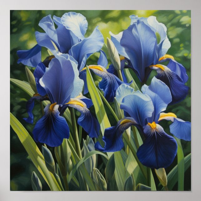 Bleu Irises Fleur Art Imprimer Poster (Devant)