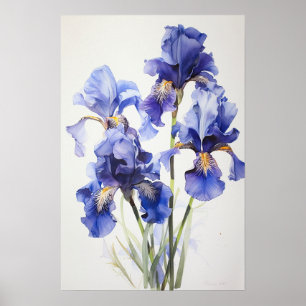 Bleu Irises Fleur Art Imprimer Poster