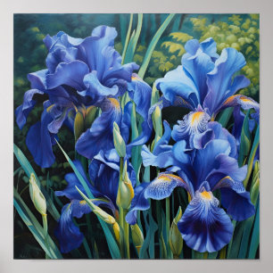 Bleu Irises Fleur Art Imprimer Poster