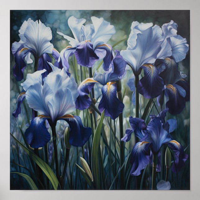 Bleu Irises Fleur Art Imprimer Poster (Devant)