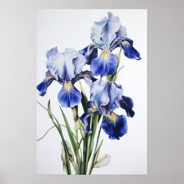 Bleu Irises Fleur Art Imprimer Poster (Devant)