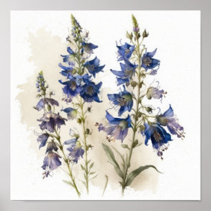 Bleu Larkspur Flower Art Imprimer Poster