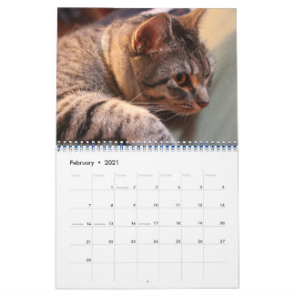 Bleu le chat - Calendrier 2021