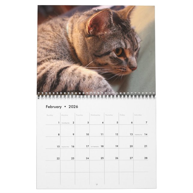 Bleu le chat - Calendrier 2021 (Feb 2026)