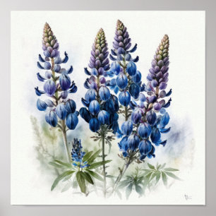 Bleu Lupine Flower Art Imprimer Poster