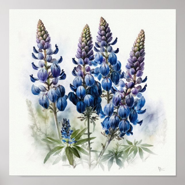 Bleu Lupine Flower Art Imprimer Poster (Devant)