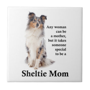Bleu Merle Sheltie Maman Carreaux