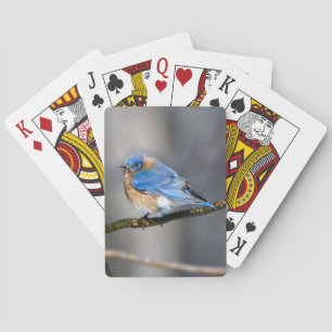 Bleu oriental sur les cartes de jeu des membres