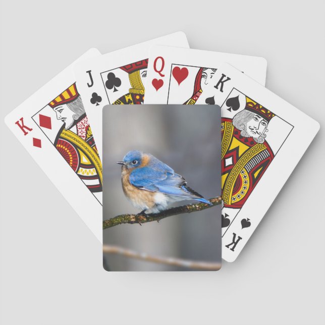 Bleu oriental sur les cartes de jeu des membres (dos)