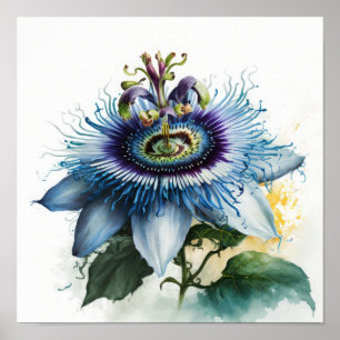Bleu Passion Flower Art Imprimer Poster