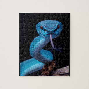 Bleu serpent vipère 110 pièce Puzzle