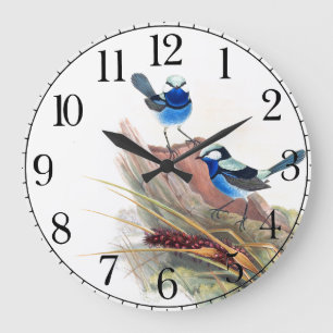 Bleu Wren Oiseaux Faune Animaux Horloge murale