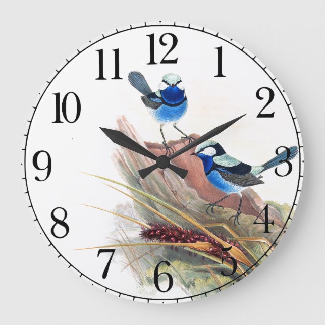 Bleu Wren Oiseaux Faune Animaux Horloge murale (Recto)